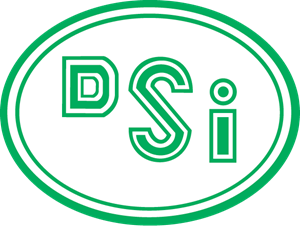 dsi logo